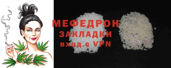 дживик Ельня