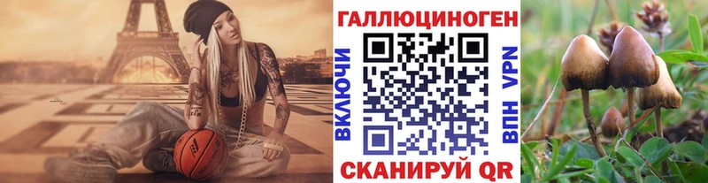 маркетплейс как зайти  Закаменск  Галлюциногенные грибы мухоморы  купить наркоту 